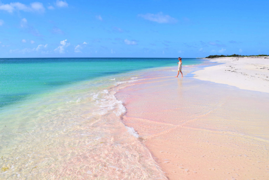 Pink sand at Cedar Tree Point. Photography courtesy Antigua & Barbuda Tourism Authority