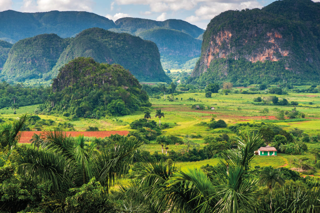 Photo by Marcin Jucha/Shutterstock.com