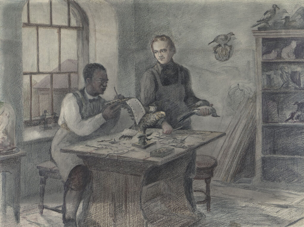 “In the Workshop of Taxidermist” (1948) by Viktor Yevstafiev, depicting John Edmonstone and Charles Darwin preparing birds. Photo courtesy © State Darwin Museum, Moscow