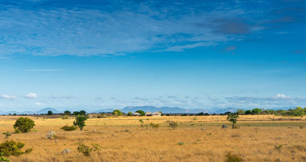 Yupukari, Guyana. Photo by Gail Johnson/Shutterstock.com