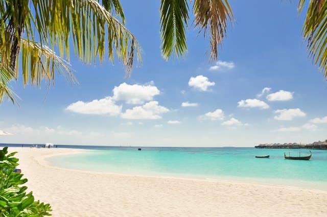 A view of a beach between palm trees