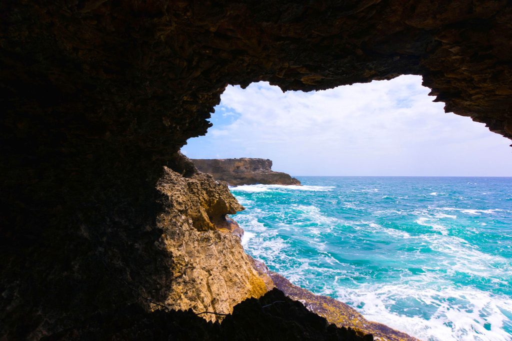 Animal Flower Cave, Barbados. Photo by Alisa Burn-Murdoch/Alamy Stock Photo