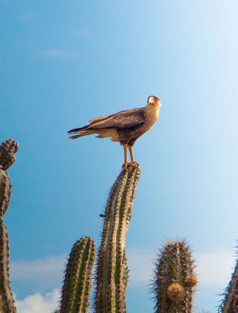 Photo by Ngrane/Shutterstock.com