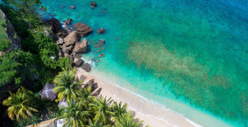 Coconut palms are synonymous with the Caribbean. Photo by Hugh Whyte, courtesy Unsplash